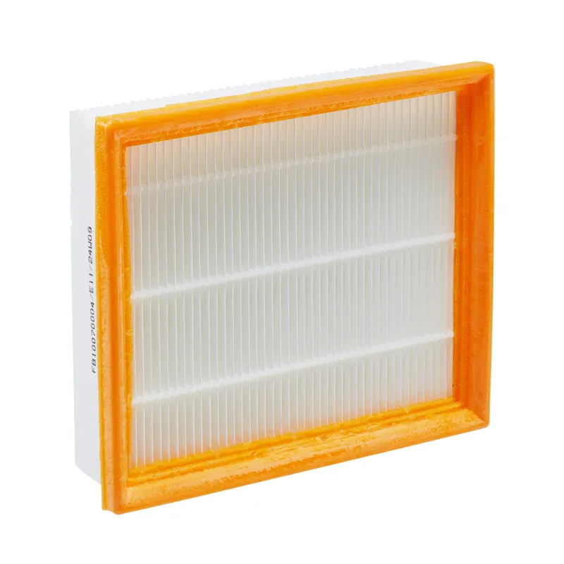 Beste Prijs EGO AVF0900 Filter voor WDV0900E